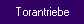 Torantriebe